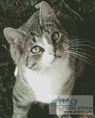 (image for) Sweet Cat - Cross Stitch Chart