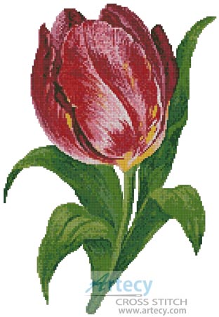 (image for) Tulip - Cross Stitch Chart