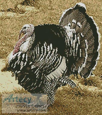 (image for) Wild Turkey - Cross Stitch Chart