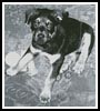 (image for) Loveable Puppy - Cross Stitch Chart