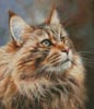 (image for) Maine Coon (Large) - Cross Stitch Chart