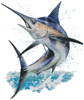 Marlin Painting - Cross Stitch Chart (image for) Marlin Painting - Cross Stitch Chart