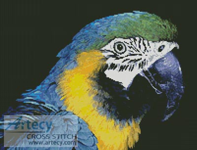 (image for) Blue and Yellow Macaw - Cross Stitch Chart