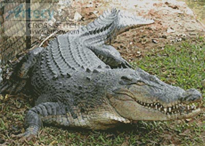 (image for) Crocodile - Cross Stitch Chart