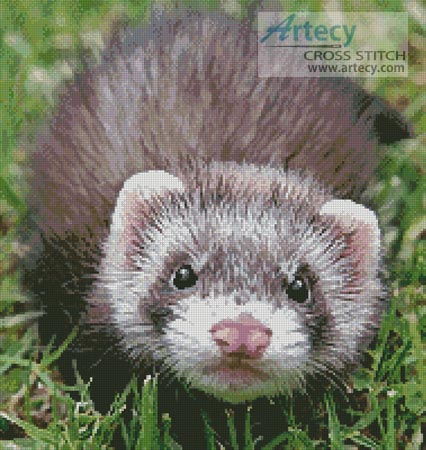(image for) Ferret - Cross Stitch Chart