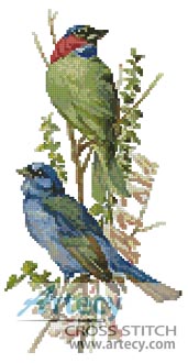 (image for) Finch and Blue Bird - Cross Stitch Chart