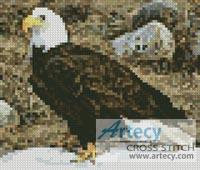 (image for) Mini Bald Eagle Photo - Cross Stitch Chart