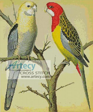 (image for) Rosella and Pale Headed Parakeet - Cross Stitch Chart