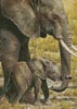 (image for) Mini Baby Mine - Cross Stitch Chart
