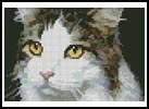 (image for) Mini Cat Close Up - Cross Stitch Chart