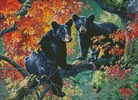 (image for) Mini Cub Scouts - Cross Stitch Chart