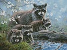 (image for) Mini Raccoon Family - Cross Stitch Chart