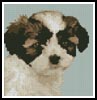 (image for) Mini Shih Tzu Puppy - Cross Stitch Chart