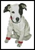 Mini T-Shirt Puppy - Cross Stitch Chart (image for) Mini T-Shirt Puppy - Cross Stitch Chart