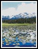 Mountain Pond - Cross Stitch Chart (image for) Mountain Pond - Cross Stitch Chart