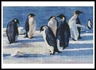 (image for) Penguins 1 - Cross Stitch Chart