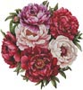 (image for) Peonies Circle - Cross Stitch Chart @