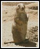 Prairie Dog - Cross Stitch Chart (image for) Prairie Dog - Cross Stitch Chart