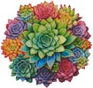 Rainbow Succulent Circle - Cross Stitch Chart @ (image for) Rainbow Succulent Circle - Cross Stitch Chart @