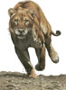 (image for) Shaya (No Background) - Cross Stitch Chart