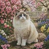 (image for) Spring Ragdoll - Cross Stitch Chart @