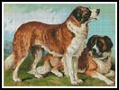 Rough Coated St Bernard - Cross Stitch Chart (image for) Rough Coated St Bernard - Cross Stitch Chart