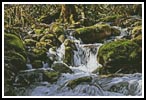 (image for) Stream - Cross Stitch Chart