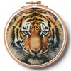 (image for) Tiger Close Up Portrait Hoop (Extra Large) - Cross Stitch Chart