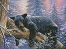 (image for) Time to Hibernate (Large) - Cross Stitch Chart