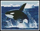 (image for) Whale 1 - Cross Stitch Chart
