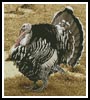 (image for) Wild Turkey - Cross Stitch Chart